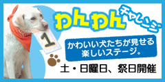 わんわんチャレンジ　土・日曜日、祭日開催