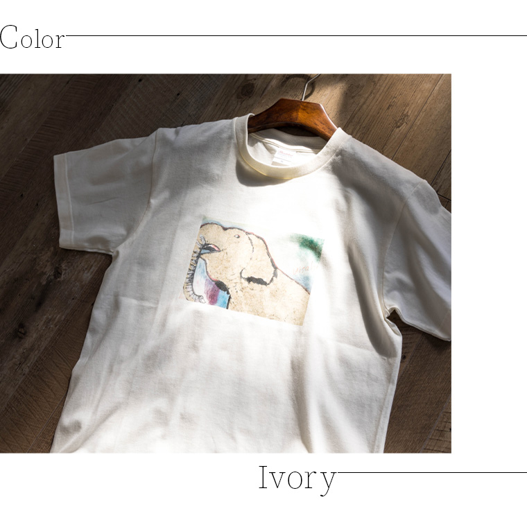 【宇都宮動物園×HISAKOコラボ商品】Tシャツ(ゾウの宮子) - 画像 (2)