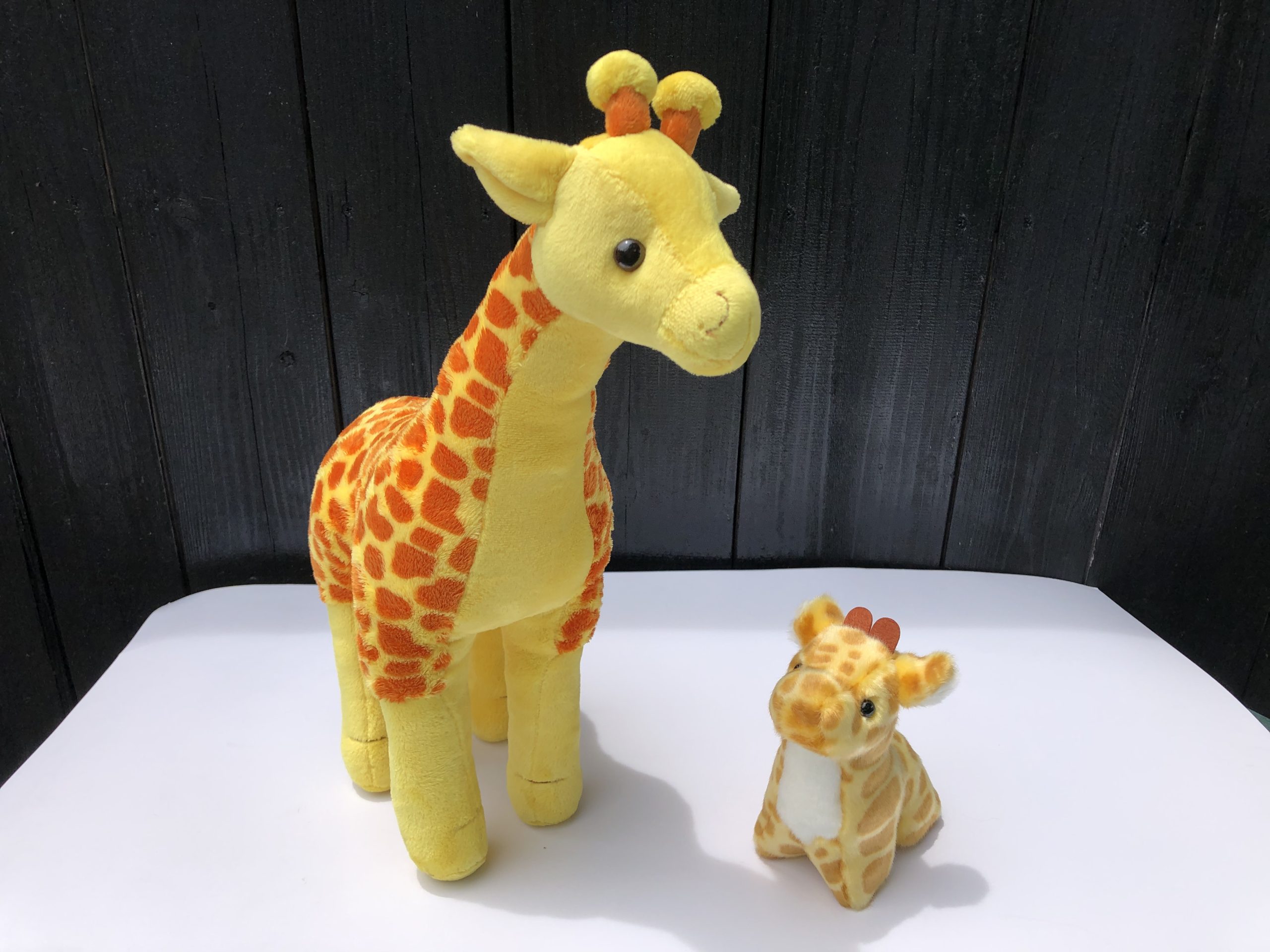 キリンさんの親子セット - 宇都宮動物園